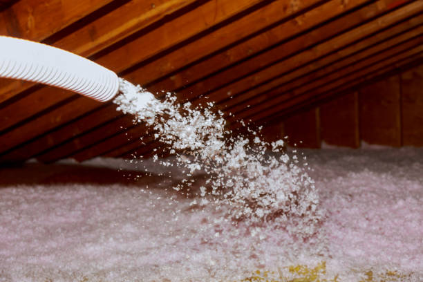 Best Professional Insulation Contractor  in Sylvester, GA