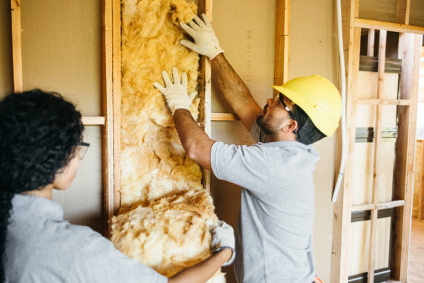 Best Fiberglass Insulation  in Sylvester, GA