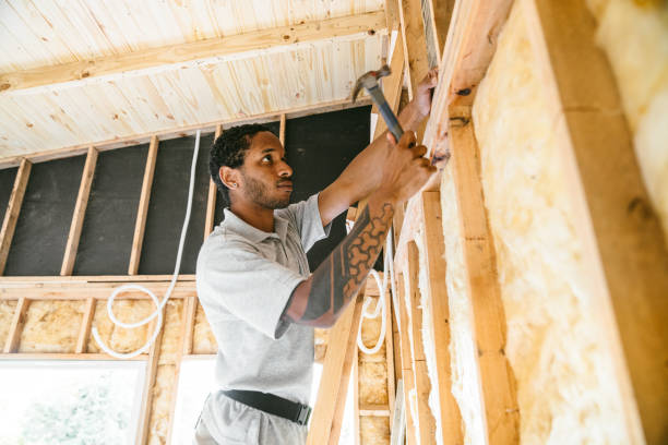 Best Home Insulation Services  in Sylvester, GA