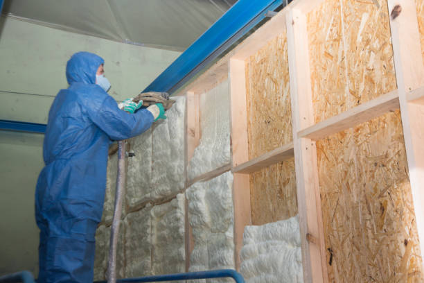 Best Crawl Space Insulation  in Sylvester, GA