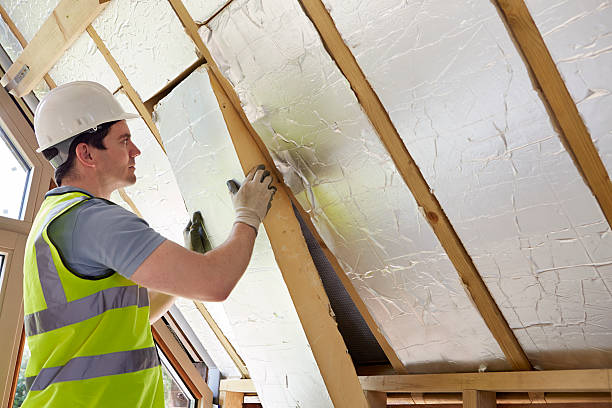 Best Garage Insulation Installation  in Sylvester, GA