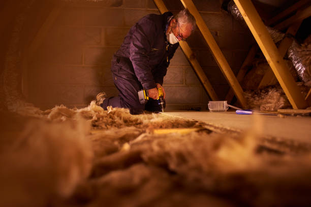 Best Local Insulation Services  in Sylvester, GA