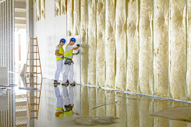Best Professional Insulation Contractor  in Sylvester, GA